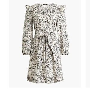 J. Crew Dress